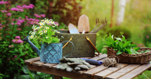 entretenir son jardin à l’arrivée du printemps