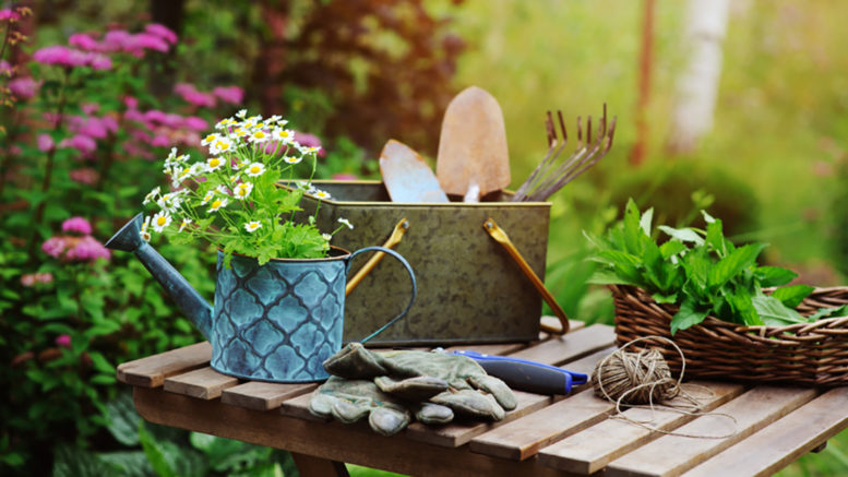 entretenir son jardin à l’arrivée du printemps