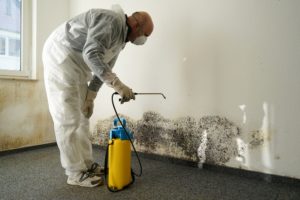 humidité dans les murs